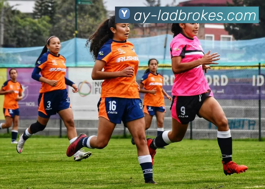 App Interface Preview